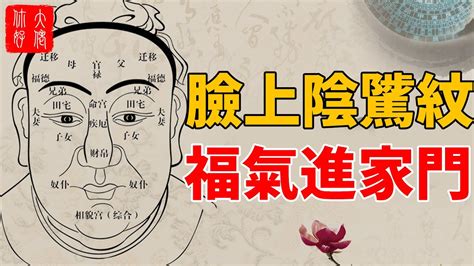 陰騭紋|臉上出現哪一種紋路代表能增福延壽？(圖) 面相 